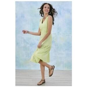 Soft Surroundings Claudia Striped Midi Dress in Lime Green Plus Size‎ 2X